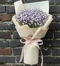 Букет цветов из:  Гипсофила в Штурме