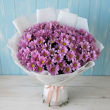 Букет цветов из:  Хризантемы #REPLACE_PRED# Штурме