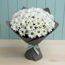 Букет цветов из:  Хризантемы в Штурме