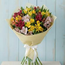 Букет цветов из:  Альстромерии в Штурме